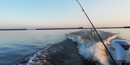 Cum alegem momelile artificiale